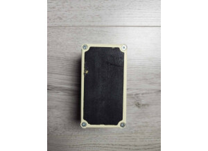 473730824 1883630099114126 619062805177826352 n.6d40b870cba4007585ef3e2eee2ad2cb