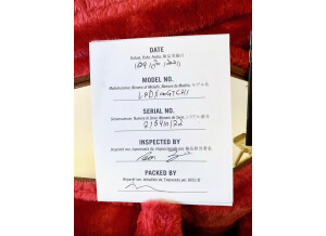 Gibson Les Paul Deluxe (2004) (55667)