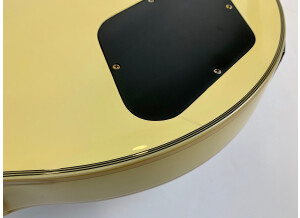 Epiphone Zakk Wylde Les Paul Custom Plus Bullseye (19117)