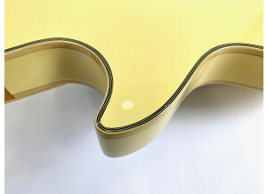 Epiphone Zakk Wylde Les Paul Custom Plus Bullseye (74065)