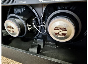 Fender Champion 100 (76796)