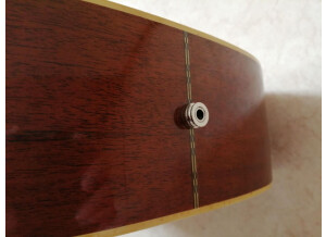 morris-12-cordes-4705133
