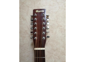 morris-12-cordes-4705130