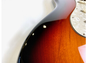 Fender American Professional Stratocaster (1049)