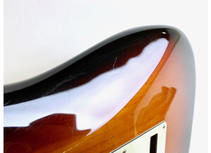 Fender American Professional Stratocaster (83910)