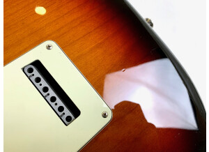 Fender American Professional Stratocaster (83772)