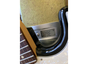 Fender American Professional Stratocaster (58171)