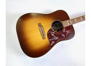 Gibson Modern Hummingbird Studio Walnut (50351)
