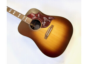 Gibson Modern Hummingbird Studio Walnut (63583)