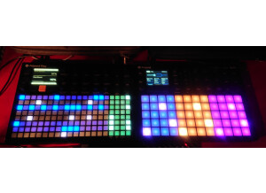 Polyend Polyend Synth (82331)