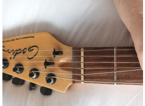 Godin Detour (97711)