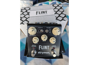 Strymon Flint (54987)