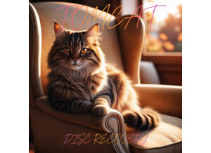 un chat assis sur une chaise - Copie