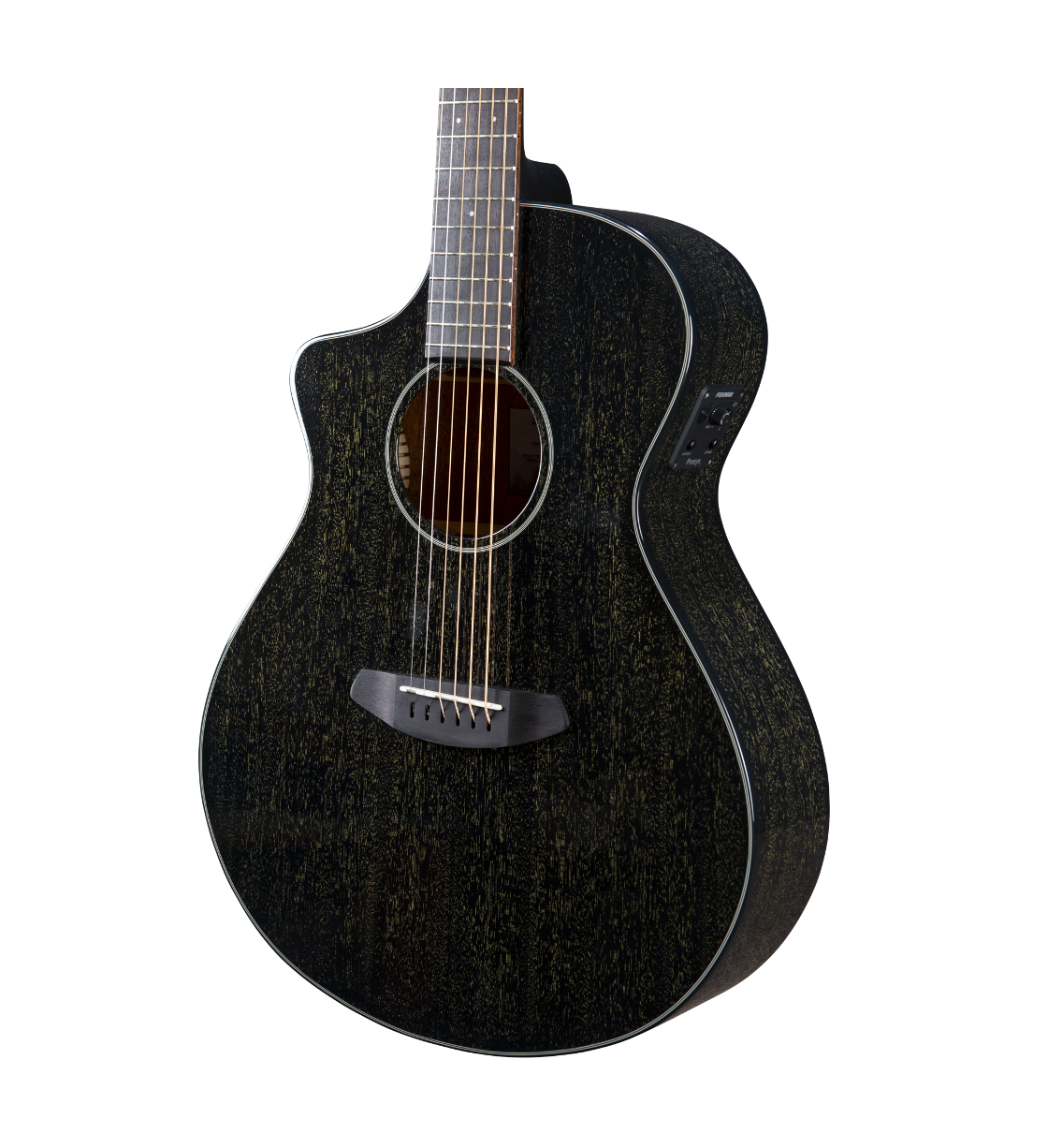 Breedlove Rainforest S Concert