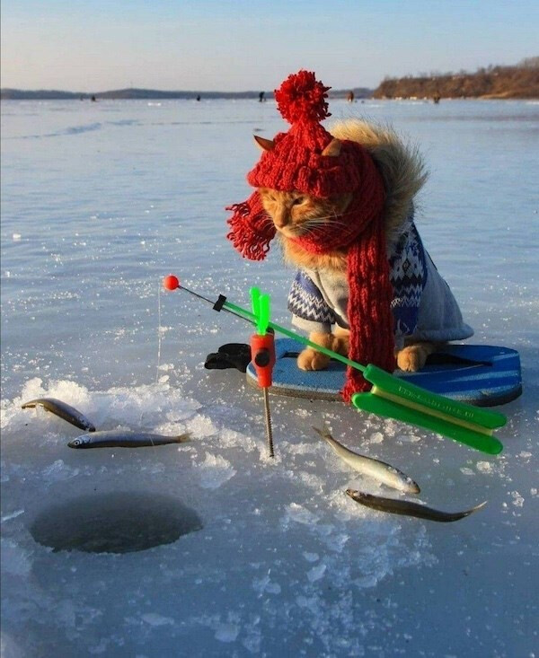 6360794.jpg 6360794.jpg