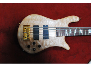 Spector Euro 5 LX (39766)