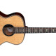 St Augustine Elite 12 Strings St Augustine Elite 12 Strings