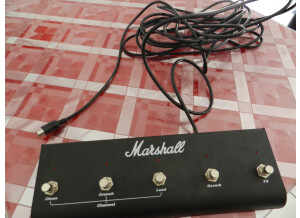 Marshall TSL100 [2000 - ] (6195)
