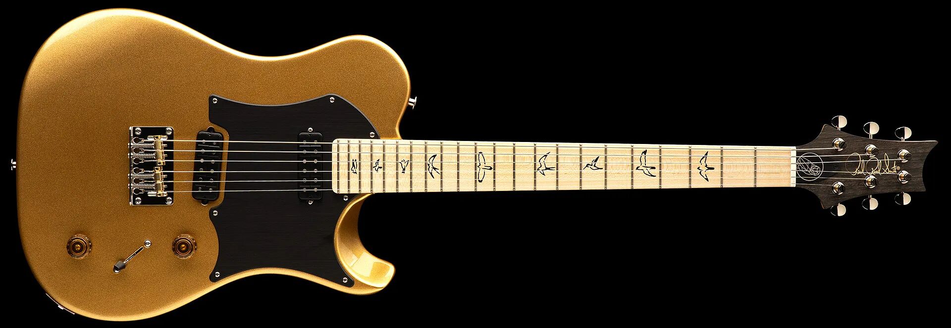 PRS Myles Kennedy : Myles Kennedy GOLD