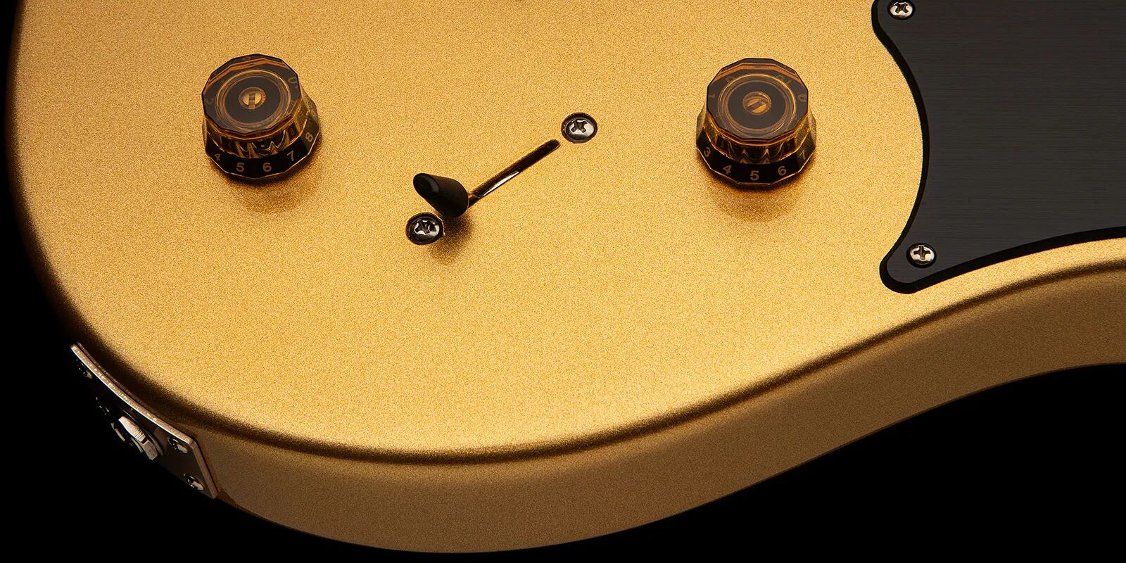 PRS Myles Kennedy : Myles Kennedy GOLD2