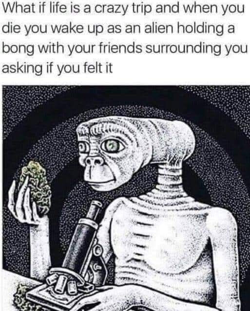 6362859.jpg 6362859.jpg