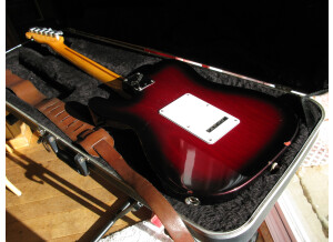 Framus Panthera Custom (58176)