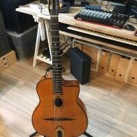 VENDS GUITARE GITANE DG 255 AVEC HOUSSE