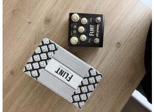 Strymon Flint (60638)