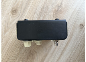 Strymon Flint (5658)