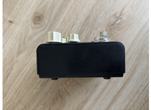 Strymon Flint (12826)