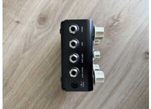 Strymon Flint (20925)