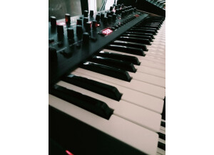 Dave Smith Instruments OB-6 (96651)