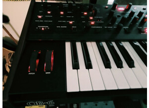 Dave Smith Instruments OB-6 (823)