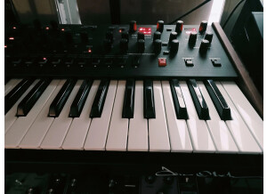 Dave Smith Instruments OB-6 (59057)