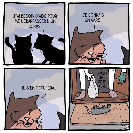 6366645.jpg 6366645.jpg