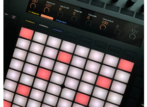 Ableton Push 2 (61768)