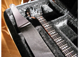 Framus Panthera Custom (69323)