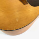 SP6 Cedar SP6 Cedar