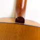 SP6 Cedar SP6 Cedar