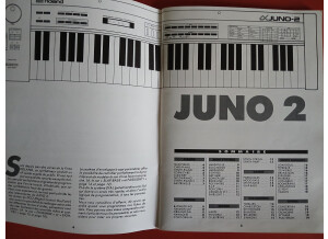 Roland JX-8P (5162)