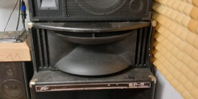 VDS CAISSON SP3 PEAVEY