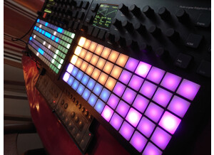 Polyend Polyend Synth (20765)
