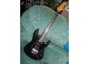 Valley Arts Guitars STANDARD PRO (459)