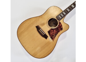 Cole Clark FL2AC Bunya/Maple (68005)