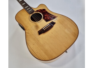 Cole Clark FL2AC Bunya/Maple (60907)