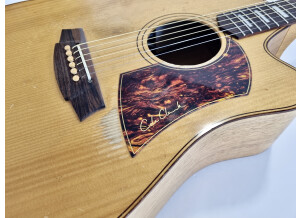 Cole Clark FL2AC Bunya/Maple (89847)