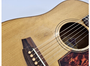 Cole Clark FL2AC Bunya/Maple (76910)