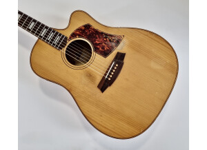 Cole Clark FL2AC Bunya/Maple (78444)