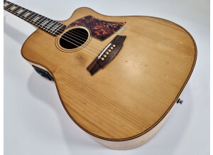 Cole Clark FL2AC Bunya/Maple (34012)