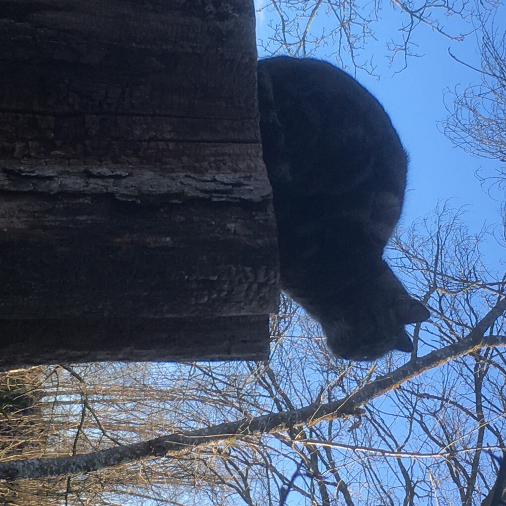 6370333.jpg 6370333.jpg